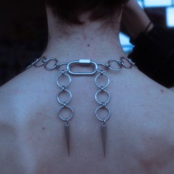 Vertèbre n•1